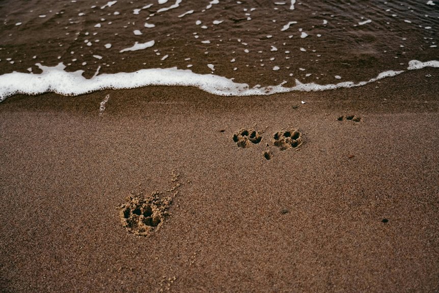 instant assessment of footprint