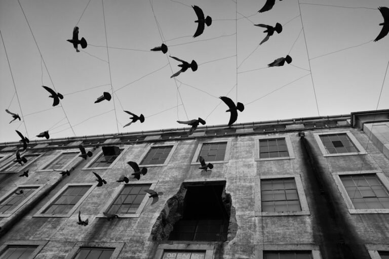 endless energy and motion